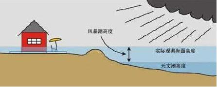 pic-01.jpg