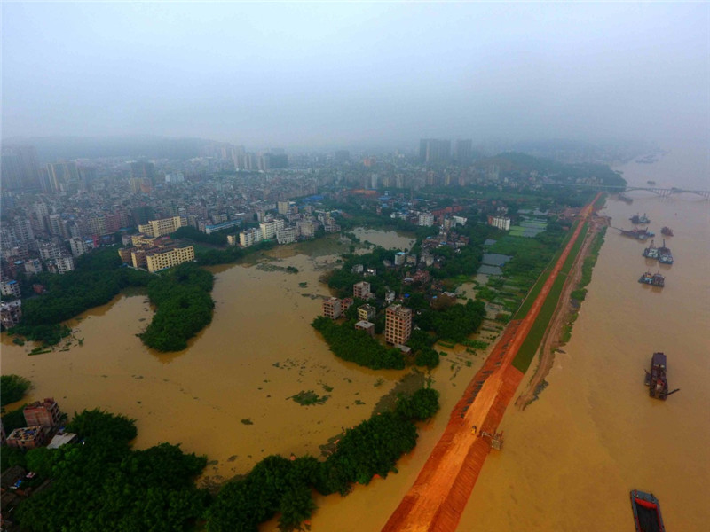 这是7月4日拍摄的水位暴涨的西江广西藤县段,县城沿江低洼处被水淹没。