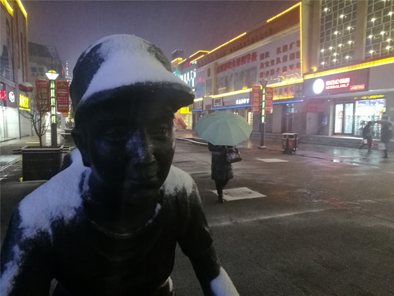 2月20日，在银川市街头，市民在雪中行走。