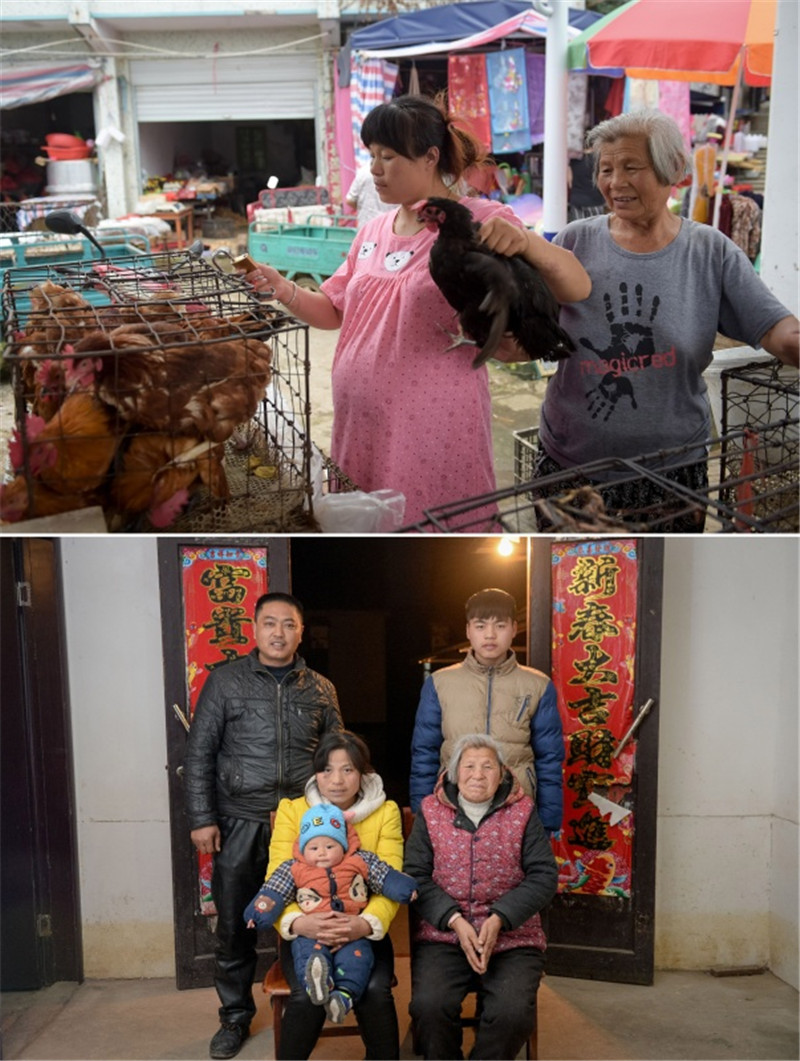 拼版照片：上图为洪灾期间，花丽娟（左）和母亲在安徽巢湖市烔炀镇菜市场卖鸡（2016年7月14日摄）；下图为安徽巢湖市烔炀镇，花丽娟与丈夫、母亲和两个孩子合影（2017年1月23日摄）。