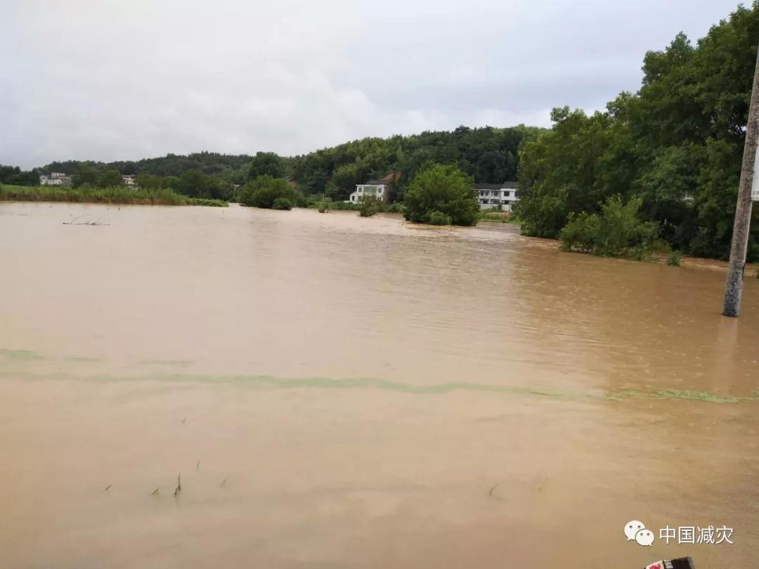 微信图片_20190711174907.jpg