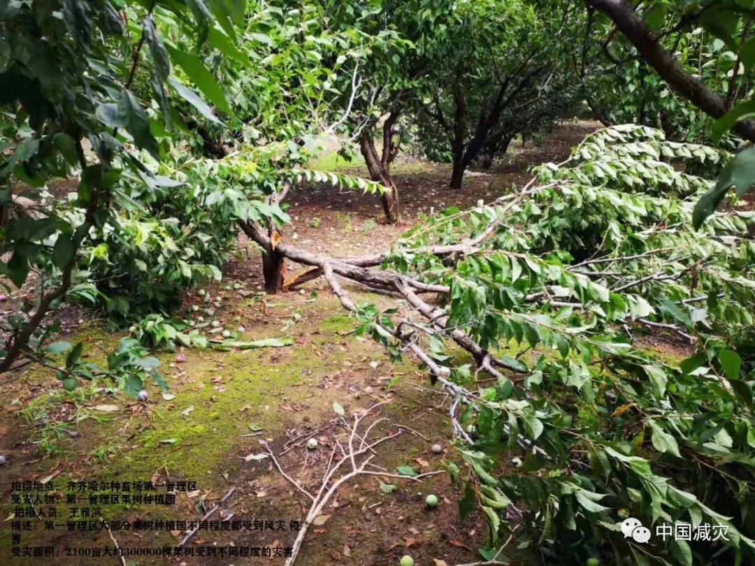 微信图片_20190730145010.jpg 微信图片_20190730145010.jpg