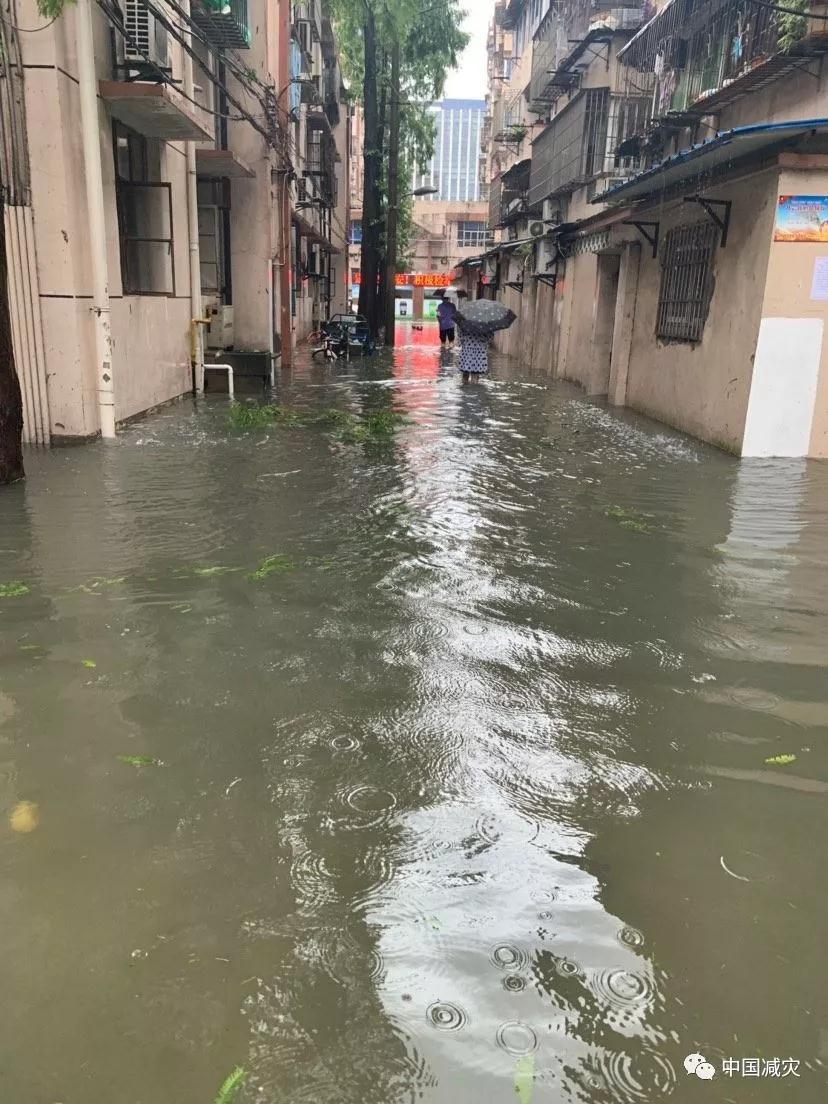 海曙石碶街道图片