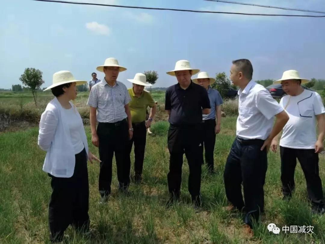 微信图片_20190815140412.jpg