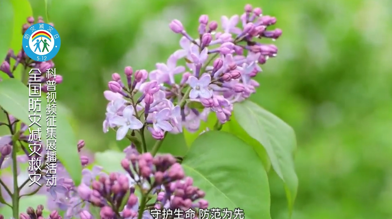 防灾减灾守护万家平安