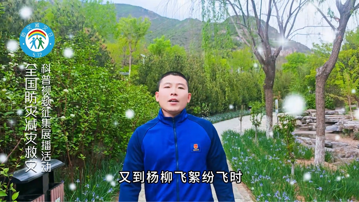 杨柳飞絮季 防火莫大意