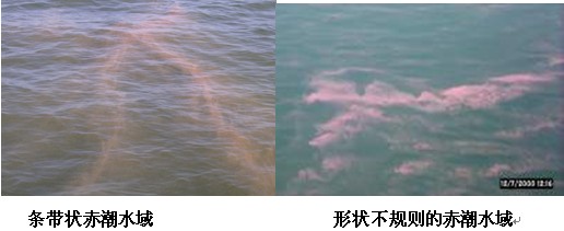 pic-16.jpg