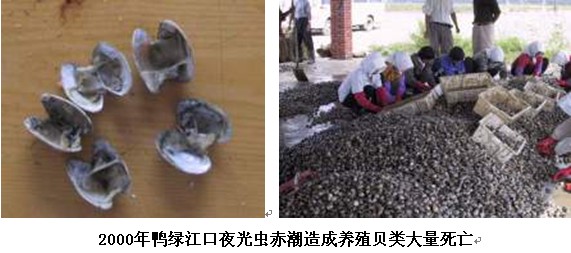 pic-20.jpg